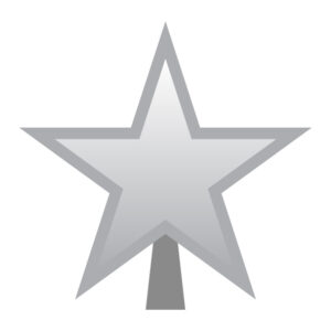 Silver-Toppers-7